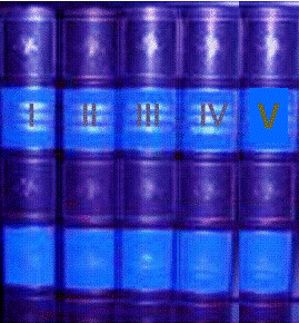5volumi