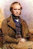 darwin